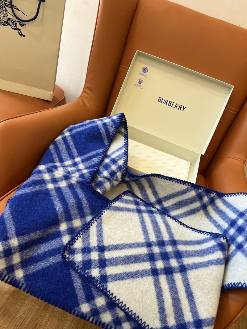 Burberry Caps Scarfs